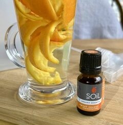 Extracting Orange Nutrients from the Peel