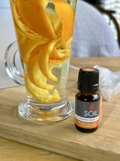 Extracting Orange Nutrients from the Peel