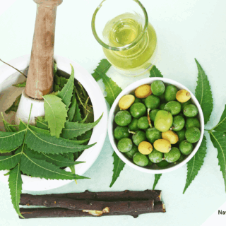 Neem Oil created from neem seeds and leaves