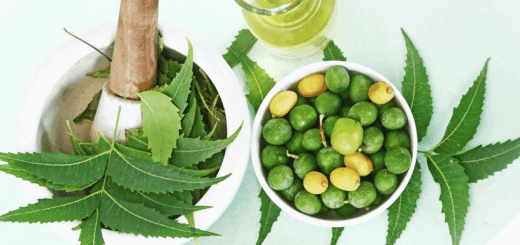 Neem Oil created from neem seeds and leaves
