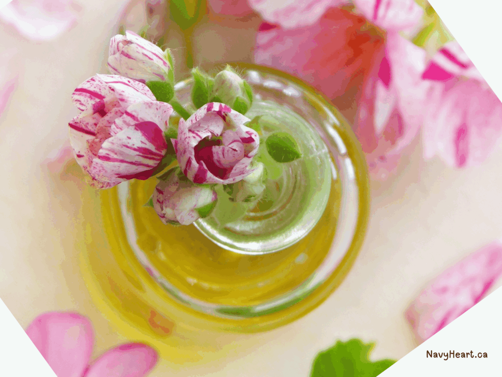 Geranium Oil with flowers in a bottle for DIY Tick & Flea Repellent